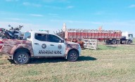 Investigadores recuperaron 27 terneras