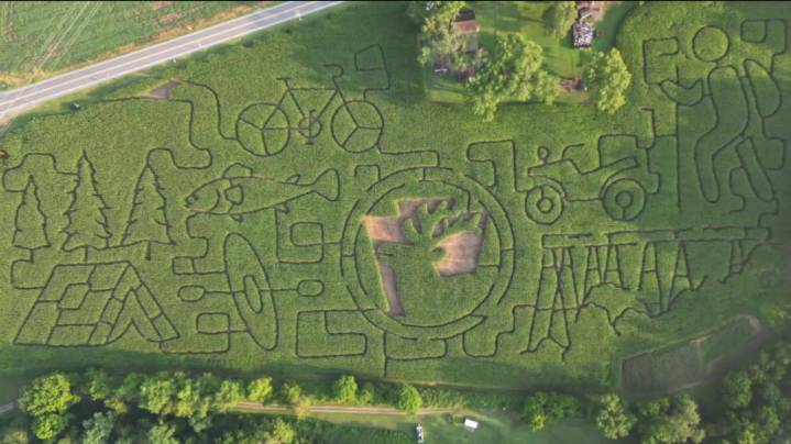 Twist and turn through this thick 19-acre corn maze in Clinton County