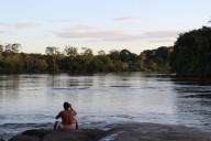 Deforestation Threatens Public Health. Securing Indigenous Land Rights Can Help, Researchers Find