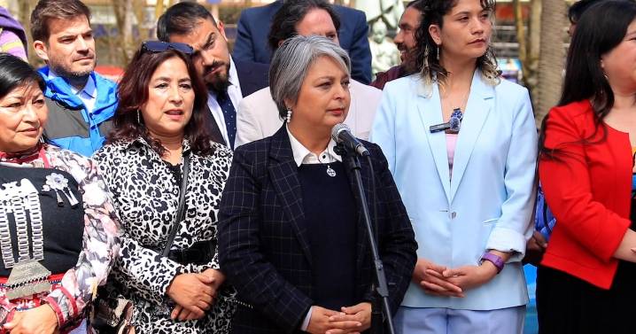 Violencia en La Araucanía: Jara afirma que calificación de terrorismo la dan los tribunales y no los Presidentes ni candidatos