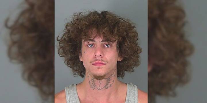 Search underway in Greenville for man who led police on chase in another county