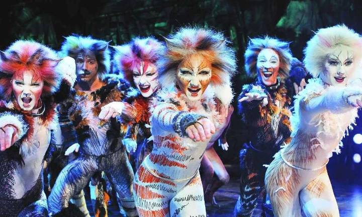 Cats, el musical, llegará a Saltillo con Cuarta Pared Teatro: Abren audiciones