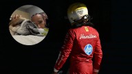El desesperado mensaje de Lewis Hamilton por la salud de su perro: “No sabemos si despertará”