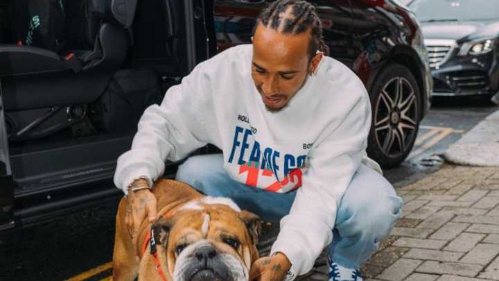 Hamilton emociona a sus seguidores hablando de los problemas de su perro Roscoe: "Estoy a su lado"