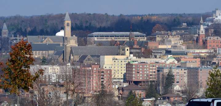 Cornell students skin bear carcass in shared dorm kitchen