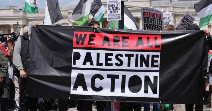 Man arrested after police probe of 'those involved in encouraging Palestine Action support'
