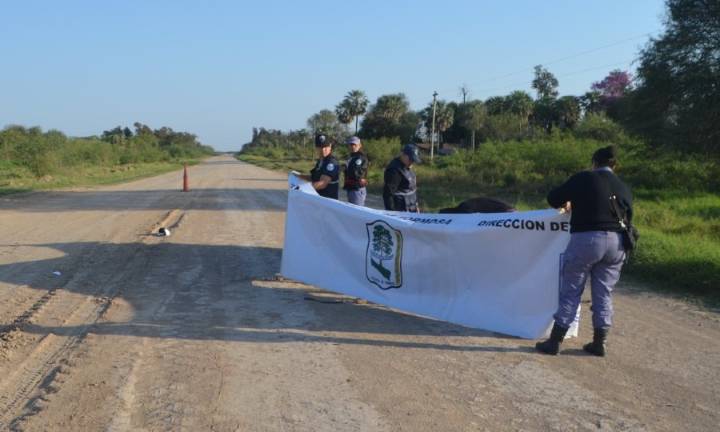 Un motociclista murió al ser atropellado por un auto
