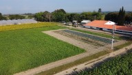 Bayer impulsa la Agricultura Regenerativa como solución a los desafíos globales