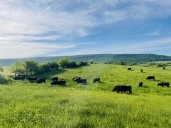 LaFaver Family Farm set to expand with funding help from local agency