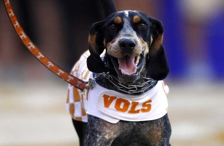 How to watch Tennessee Vols vs East Tennessee State football today; is it on TV, or streaming only? Time, spread, odds