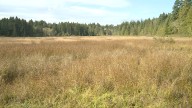 Taxpayers question the purchase of Hamilton Marsh