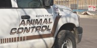 Man hospitalized after being bitten by pet cobra, Animal Control investigating
