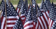 More than 600 flags planted in Tower Park to honor veterans who died by suicide