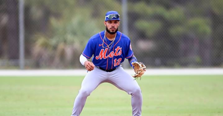 Mets Daily Prospect Report, 9/15/25: Playoff hero Henriquez