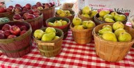 At the Market:  Harvest season in full swing with apples, pears, peppers and more