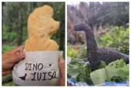 Las dinoquesadillas de Coahuila: aquí las puedes conseguir en la CDMX; precios y menú