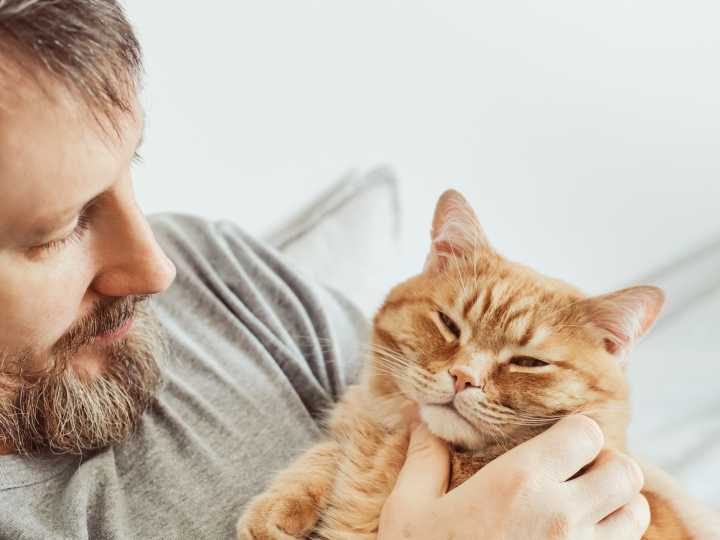 Así impacta en nuestro cerebro tener un gato como mascota