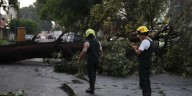 Lluvia vespertina arrasa con 14 árboles en Guadalajara
