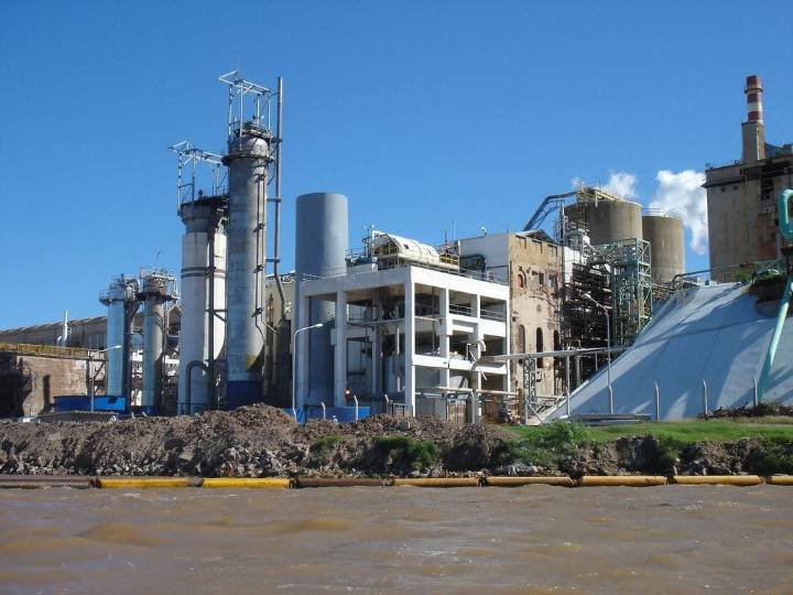 Celulosa Argentina entró en concurso de acreedores para reestructurar deudas