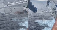 Pánico en crucero: mujer queda atrapada en tobogán suspendido sobre el océano