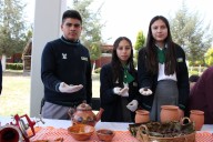 Presentará COBAEH 65 proyectos en Encuentro Estatal de Emprendedores 2025