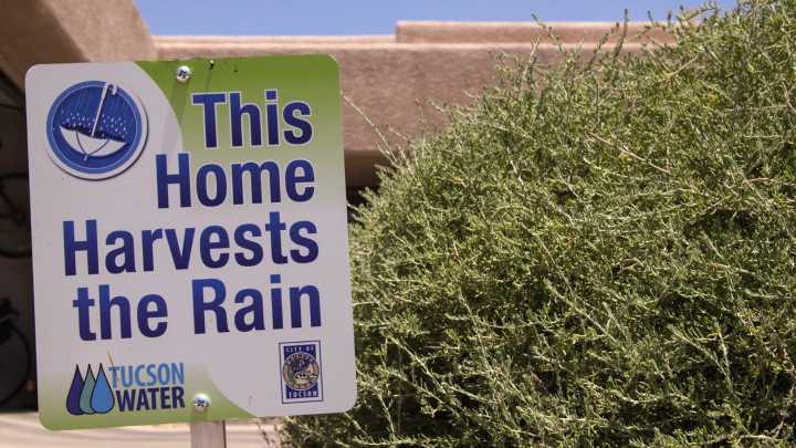 Rainwater harvesting grows in the Southwest and beyond to nourish thirsty gardens in a hotter world