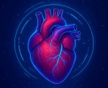 En Argentina, las enfermedades cardiovasculares son responsables del 26% de las muertes