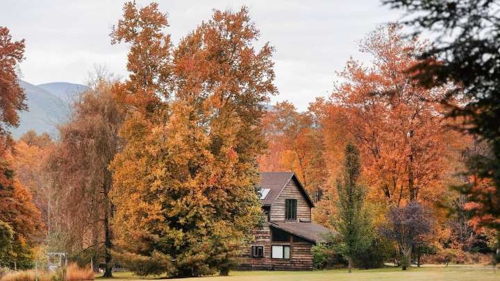 30 Stylish Upstate New York Airbnbs for a Weekend Away from the City