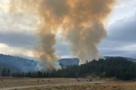 Wildfire quickly grows to 10 hectares in Peachland