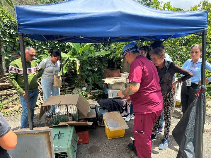 Inician jornadas de esterilización para animales comunitarios 