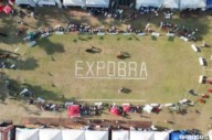 Comienza la ExpoBRA 2025 con lo mejor de Braford, Brahman y Brangus