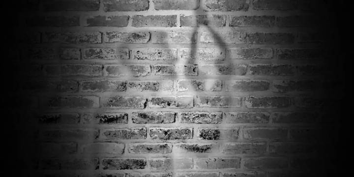 Suicidio; un problema de salud pública: OMS