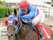 Hastings Racecourse: Chi Chi Time keeps fans guessing ahead of B.C. Derby