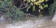 Falls County, Texas in final steps to establish county’s first ever floodplain map