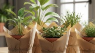 No es por estética: para qué sirve envolver las macetas de las plantas con papel kraft
