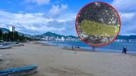 CLIMA ¿Cuándo se formará el huracán Gabrielle en el Atlántico? Esto sabemos