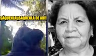 Puerto Maldonado: adulta mayor fallece luego de múltiples picaduras de abejas