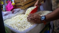 Preparar pozole este año, de los platillos más accesibles para las fiestas patrias