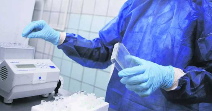 El virus del Nilo sigue campando a sus anchas en Pulpí: amplían la alerta al detectarlo en mosquitos