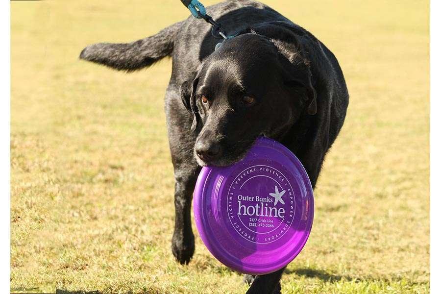 The Outer Banks Voice -   Dogs Against Domestic Violence returns to Dowdy Park Oct. 11