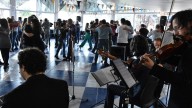 Techos Azules: un auténtico "picnic milonguero"