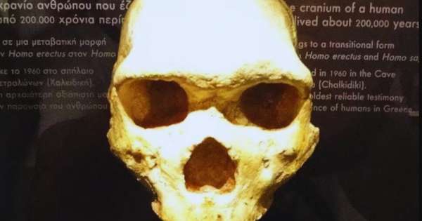 Científicos encuentran un cráneo en Grecia de hace 300,000 años y no pertenece a la especie humana