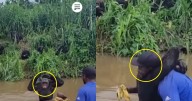Conmovedor: chimpancé reconoce a su cuidador tras años separados y enternece a las redes
