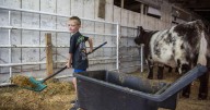 Attendees pack up, reminisce as The Great Frederick Fair winds down
