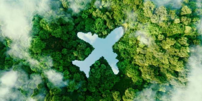 Viajar diferente: seis claves de Civitatis para un turismo más responsable 