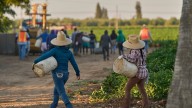 Datos de la fuerza laboral de inmigrantes en EEUU bajo Trump
