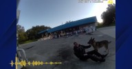 Video: Florida man charged with hitting police canine and hiting officer with vehicle: LWPD