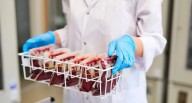 Extremadura a la cabeza en donación de médula ósea