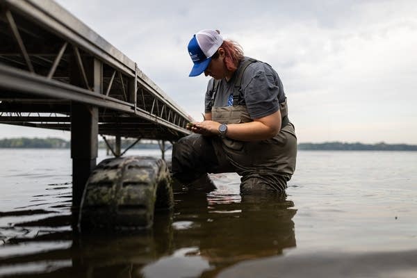 Scientists look for cause of swimmer’s itch in lakes