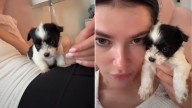 California Woman Saves Newborn Puppy In Paper Bag, His Heartwarming Story Goes Viral